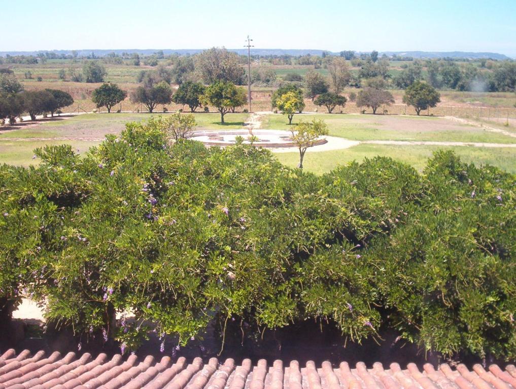 Quinta Do Casalinho Guest House Almeirim Exterior foto